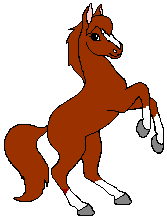 ehorse19.gif